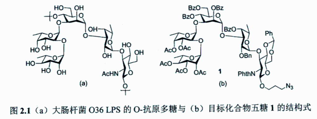 叠氮n3醛基cho炔烃alkyne标记修饰lipopolysaccharides脂多糖