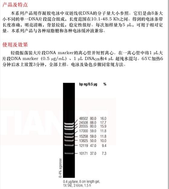10000的marker的电泳图,dnamarker5000电泳图 脉冲电泳 marker( 低范围 pfg)50 次规格