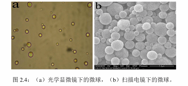 羧基化磁性微球改性偶联官能基团瑞禧供应