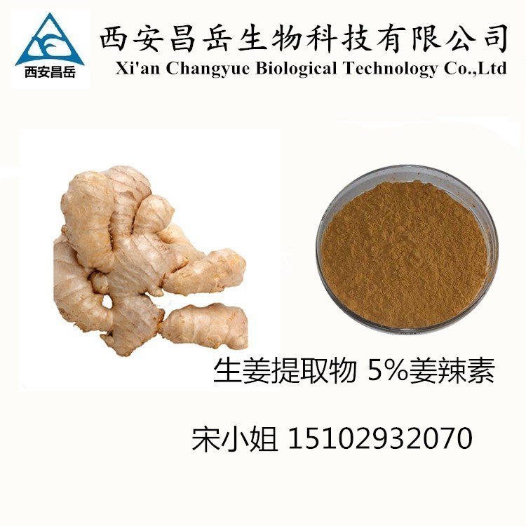 姜辣素gingerols5cas84696151全水溶生姜提取物批发商