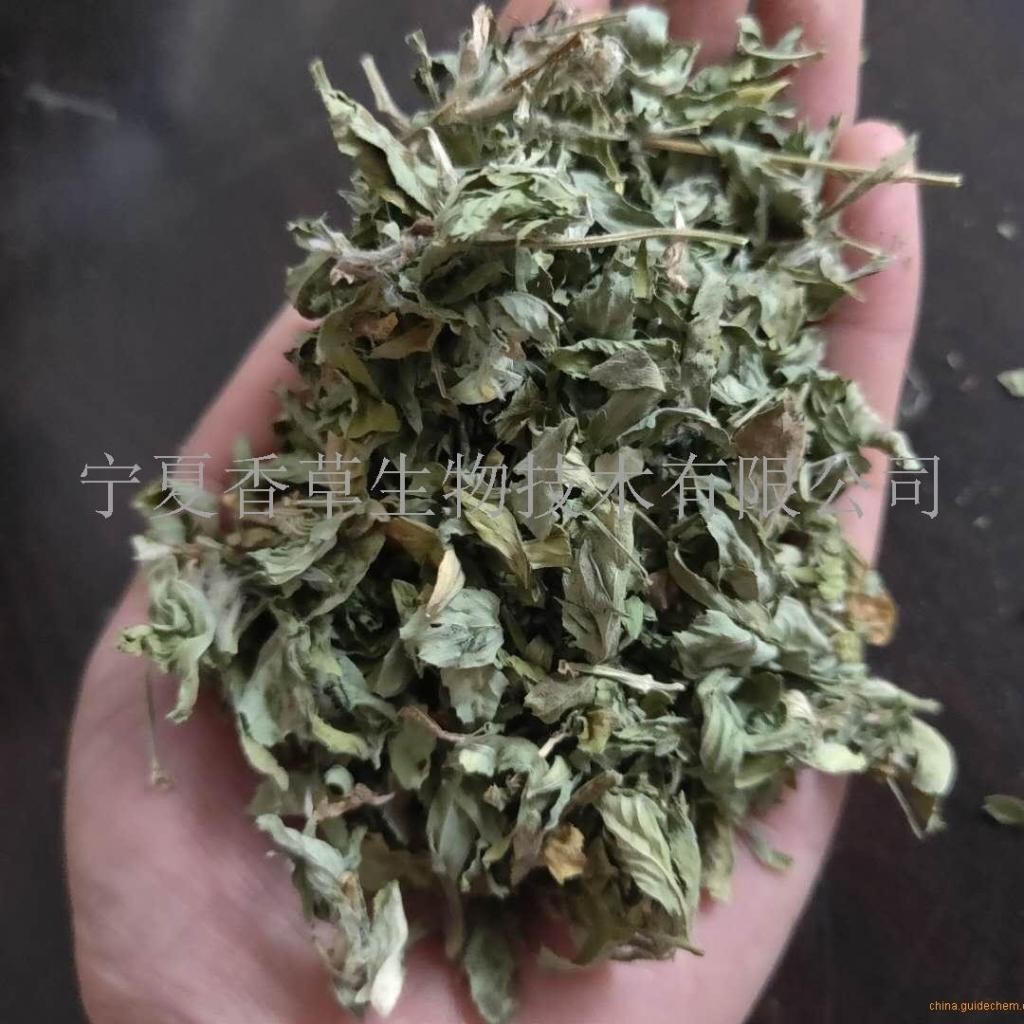 葫芦巴干叶价格葫芦巴籽葫芦巴叶植物香料宁夏产地