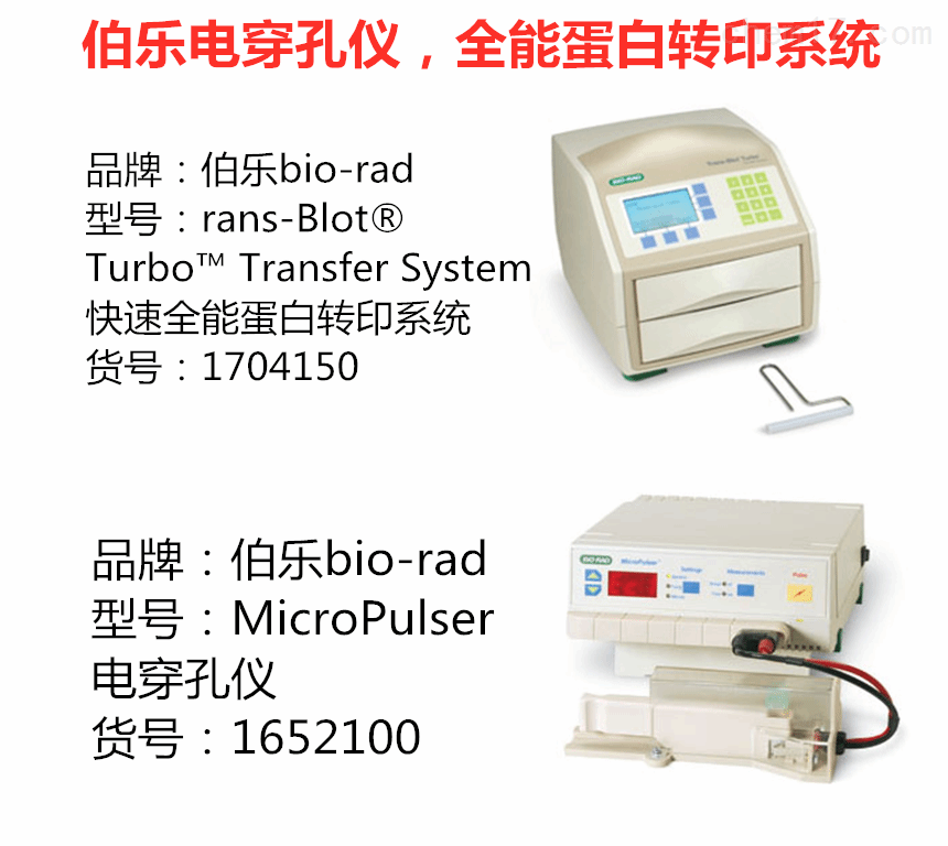 biorad伯乐micropulser电穿孔仪现货总代