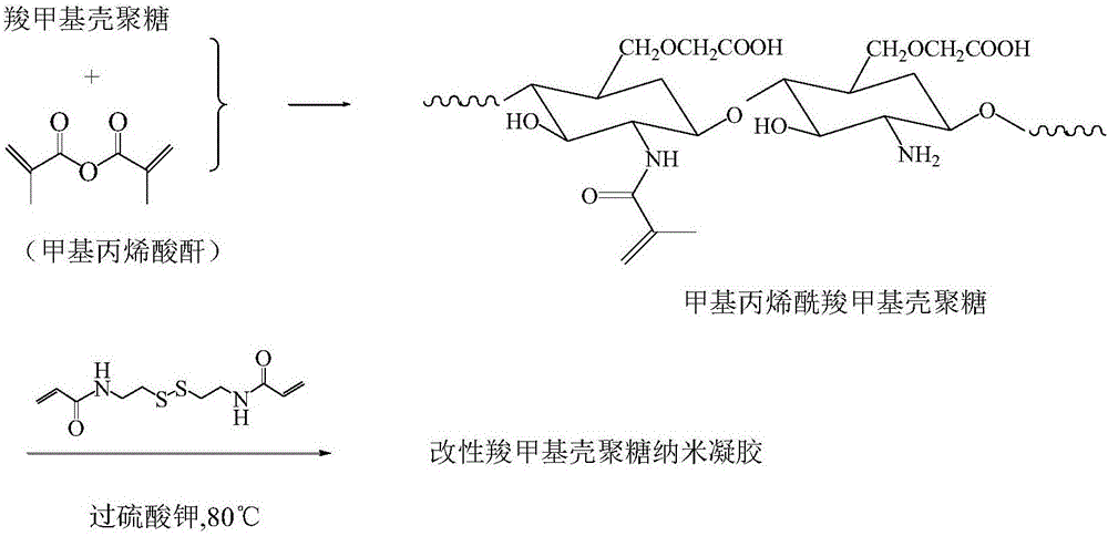 瑞禧crgdcmchpa环糊精羧甲基壳聚糖cmcsgβcd