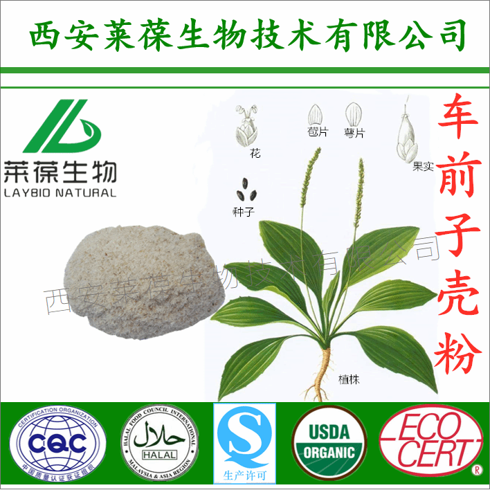 新食品原料之圆苞车前子壳