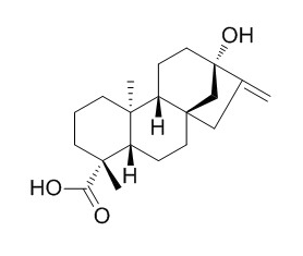 甜菊苷