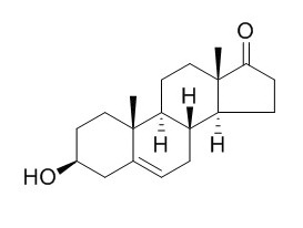 9去氢雄烯二酮1035694图片