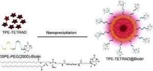 销售叶酸-卡铂-紫杉醇白蛋白纳米粒fa-ptx-bsa;dtx-bio-bsa/ptx-hsa