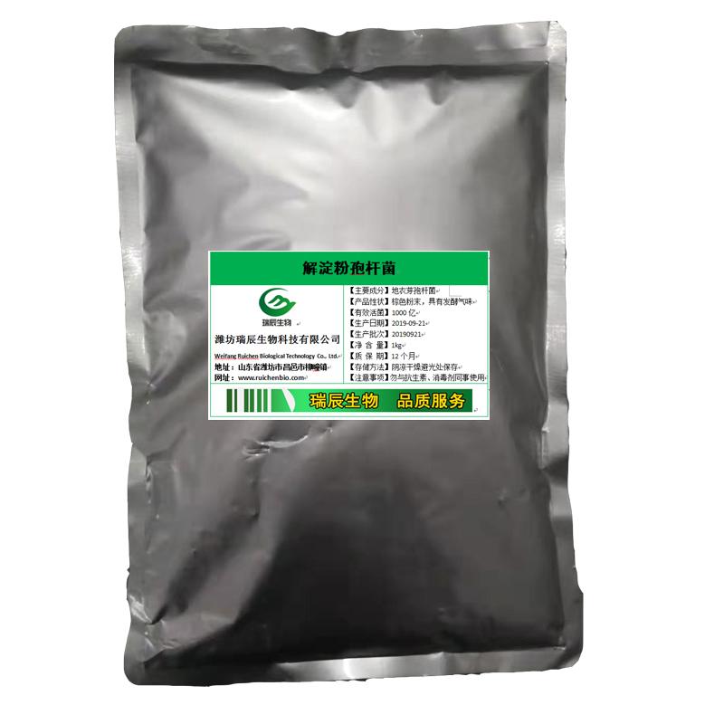 解淀粉芽孢桿菌