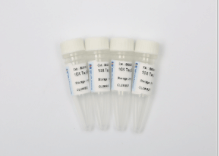 衣原体通用型(CP)试剂盒(荧光-PCR法)