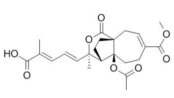 土荆皮乙酸cas82508314供应