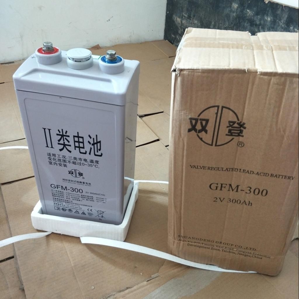 雙登蓄電池2v300免維護蓄電池gfm300直流屏蓄電池