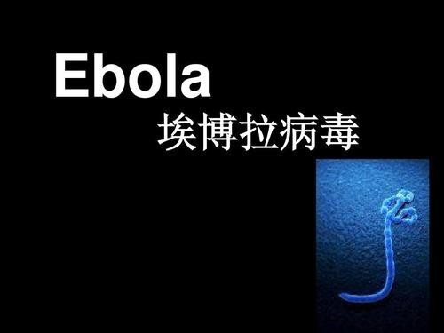 疾控系统检测用刚果金埃博拉病毒ebov抗原诊断试剂