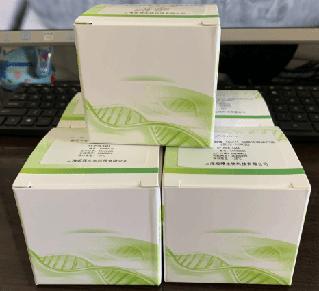 马流行性感冒病毒 马甲1型和马甲2型荧光RT-PCR检测试剂盒