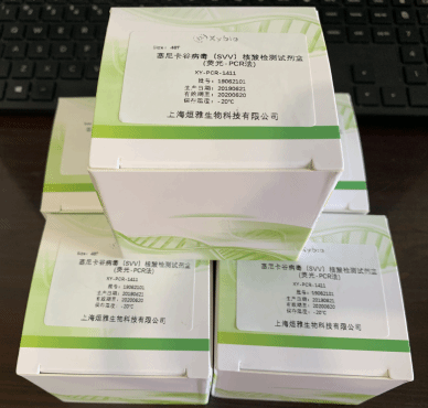 肺炎克雷伯杆菌荧光PCR检测试剂盒