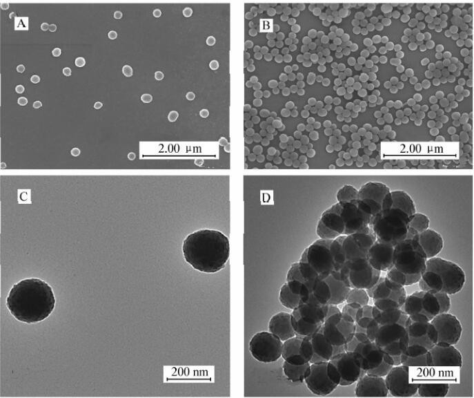 聚多巴胺纳米颗粒图片