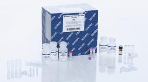 大鼠牙本质基质蛋白1(DMP1)ELISA试剂盒报价