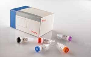 狂-犬病毒(RV)荧光PCR检测试剂盒价格 产品图片