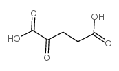 328-50-7 α-酮戊二酸,98%