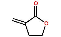 547-65-9α-亚甲基-γ-丁内酯,96%