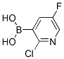 2-氯-5-氟吡啶-3-硼酸