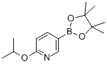 2-异丙氧基-5-(4,4,5,5-四甲基-1,3,2-二杂氧戊硼烷-2-基)吡啶