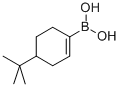 4-叔丁基环己烯-1-基硼酸