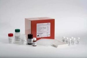 鸡肌红蛋白(MYO/MB) ELISA检测试剂盒