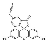 27072-45-3异硫氰酸荧光素,96%（5-和6-异构体混合物）