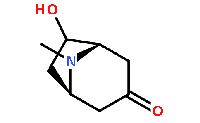 5932-53-6外-6-羟基托品酮,99%