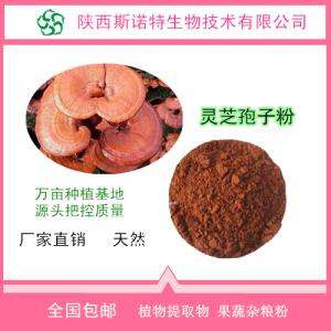 灵芝粉