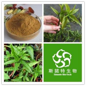 忧遁草粉原料