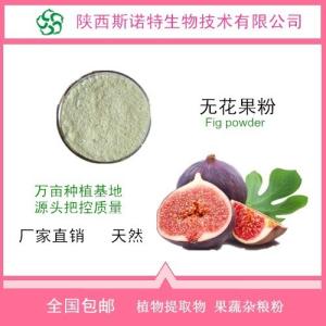 无花果粉  果蔬粉