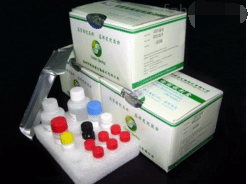 大鼠BMP-2试剂盒；骨形态发生蛋白2ELISA试剂盒 产品图片