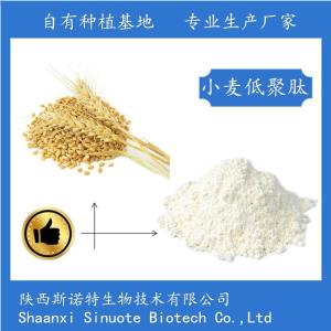 小麦低聚肽80% 食品级原料 供应 1KG起订