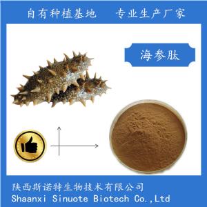 海参多肽 60% 海参肽粉 供应 *