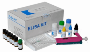 小鼠TF试剂盒；组织因子ELISA试剂盒 产品图片