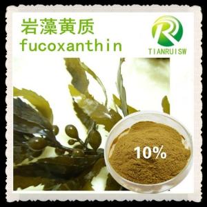 岩藻黄质 fucoxanthin10%-50% 天然海带提取物 海藻提取物 供应