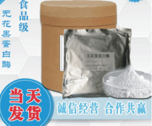 无花果蛋白酶