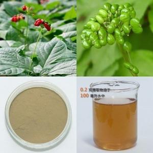 三七粉 三七提取物 三七浸膏