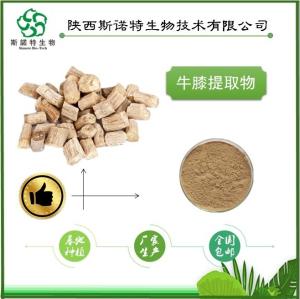 怀牛膝粉