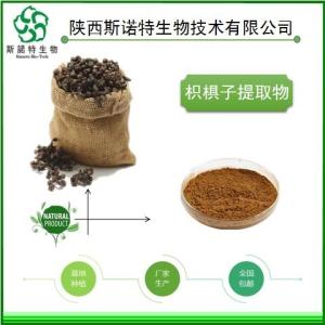 枳椇子粉