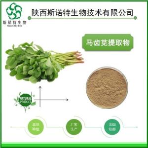 马齿苋粉