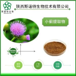小蓟粉