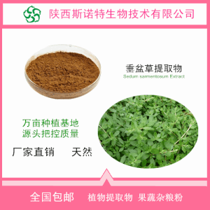 垂盆草粉