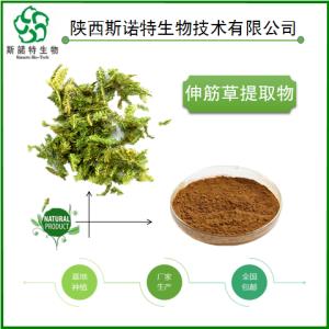伸筋草粉