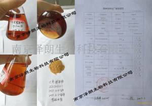 大枣提取物南京泽朗生产药食同源红枣粉