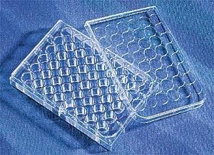 美国Corning康宁 3524 24孔细胞培养板透明板 1块/包 100块/箱