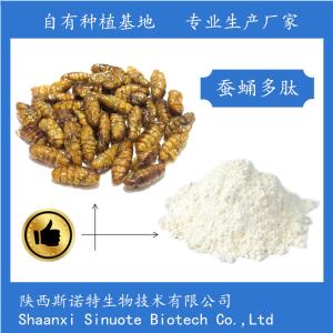 蚕蛹多肽 60% 蚕蛹蛋白肽粉 食品级原料 斯诺特生物