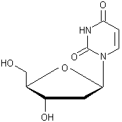 2' - 脱氧尿苷