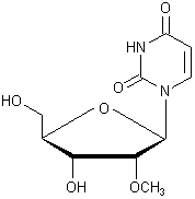 2'-甲氧基尿苷
